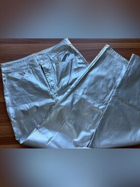 H&M Metallic Silver Women’s Pants